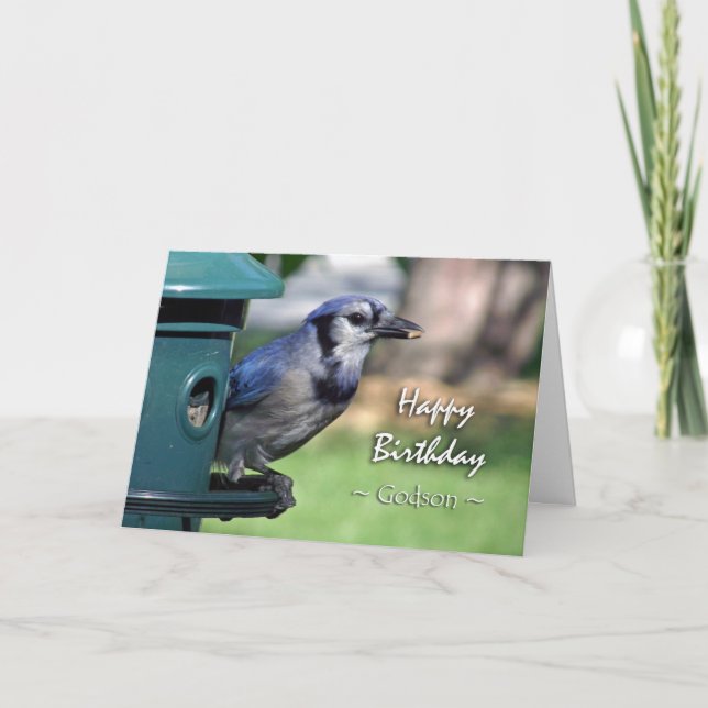 Birthday for Godson, Blue Jay at Bird Feeder Card (Front)