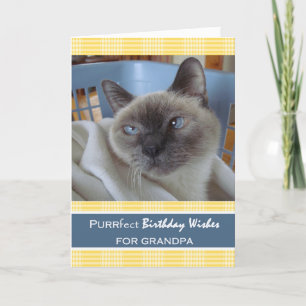 Birthday for Grandpa, Cat in Laundry Basket Card