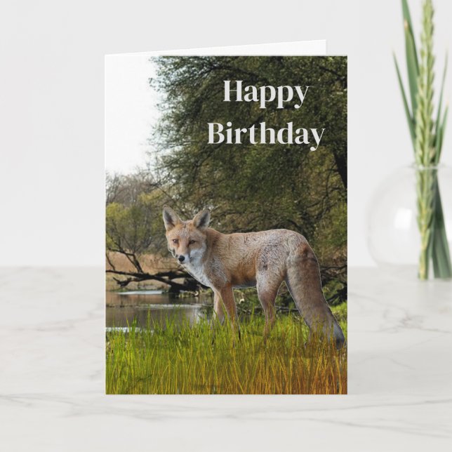 Birthday for Men Red Fox Wildlife and Nature  Card (Front)