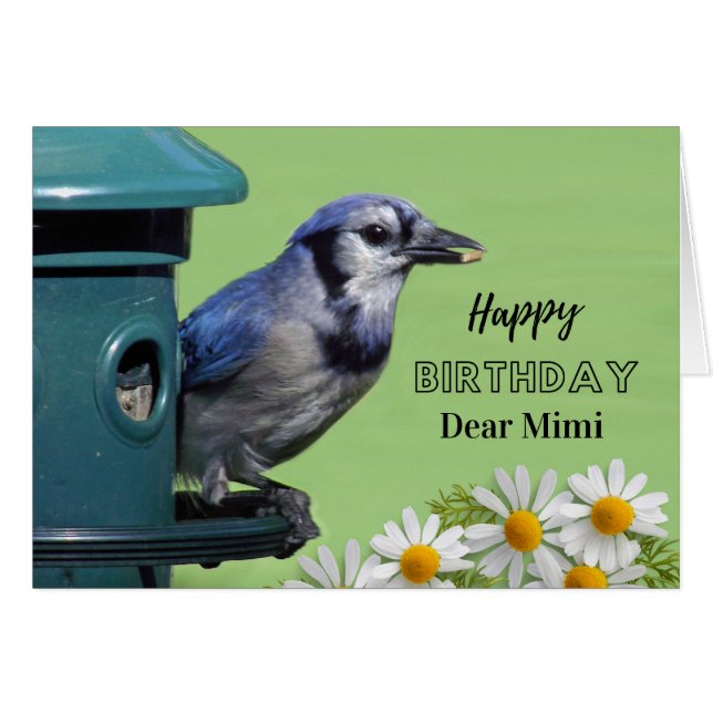 Birthday for Mimi Blue Jay at Bird Feeder Daisies (Front Horizontal)