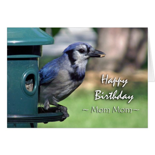 Birthday for Mum Mum, Blue Jay at Bird Feeder (Front Horizontal)