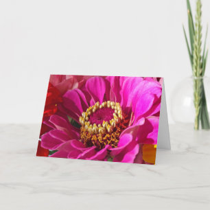 Birthday for Mum, Pink Zinnia Flower Card