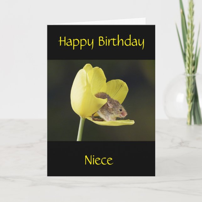 **BIRTHDAY FOR MY NIECE** Card (Front)
