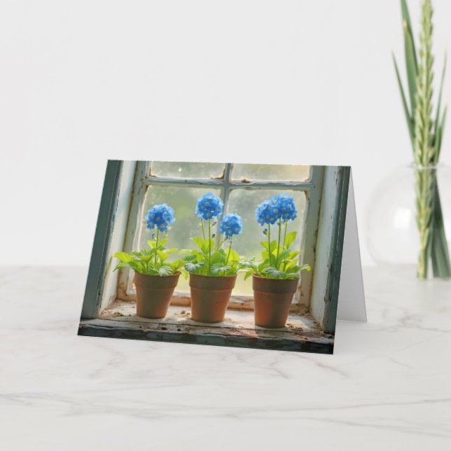 Birthday Forget-Me-Not Flower Pots Card (Front)
