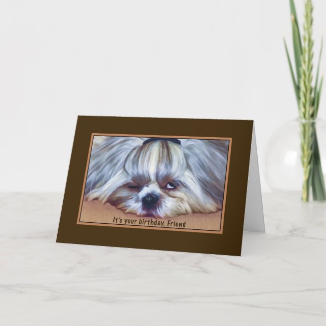 Birthday, Friend, Sleepy Shih Tzu Dog Card (Front)