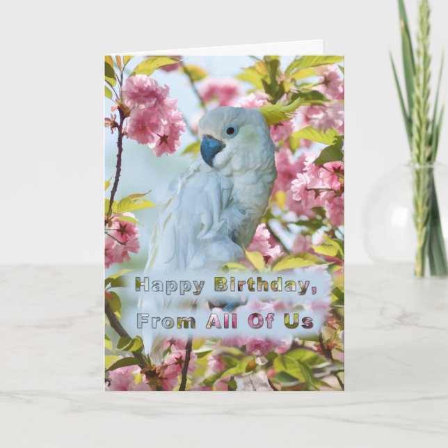 Birthday, From All of Us, White Parrot Card (Front)