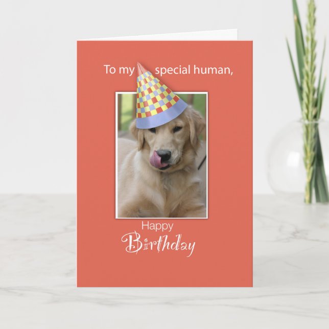 Birthday From Dog to Human, Humour, Orange, Funny Card (Front)
