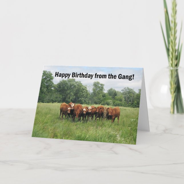 Birthday From Group Card (Front)