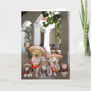 Birthday from group in Spanish Card