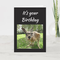 Birthday Fun Kangaroo Australia Animal art