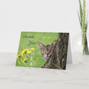 Birthday Funny Cat Tabby Nature Customise Card