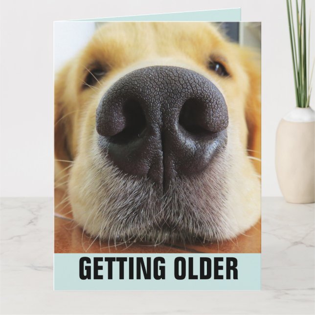 BIRTHDAY FUNNY GETTING OLDER DOG GREETING CARD (Front)