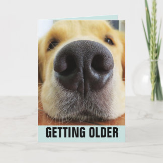 BIRTHDAY FUNNY GETTING OLDER DOG GREETING CARDS