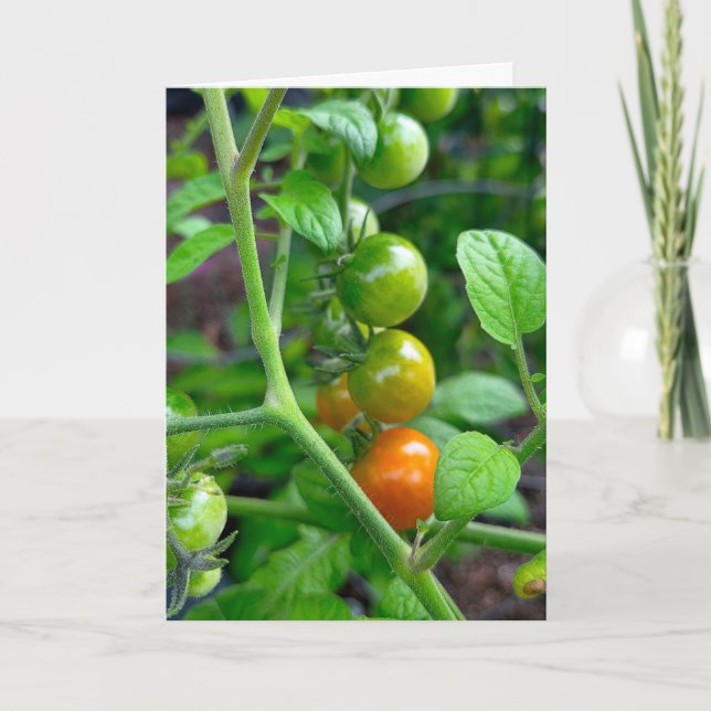 Birthday Getting Old Humour with Tomatoes Card (Front)