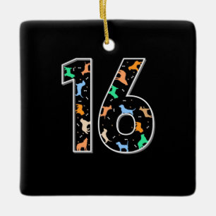 Birthday Gift 16th Birthday With Dog Ceramic Ornament