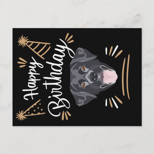 Birthday Gift Black Labrador Postcard (Front)
