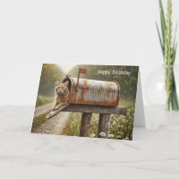 Birthday Ginger Cat In a Mailbox