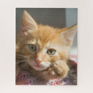BIRTHDAY GINGER CAT KITTEN  JIGSAW PUZZLE