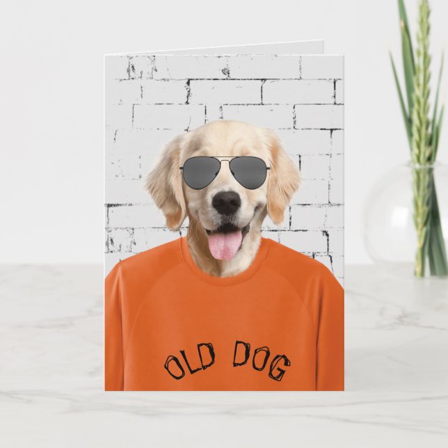 birthday golden retriever in orange t-shirt card (Front)