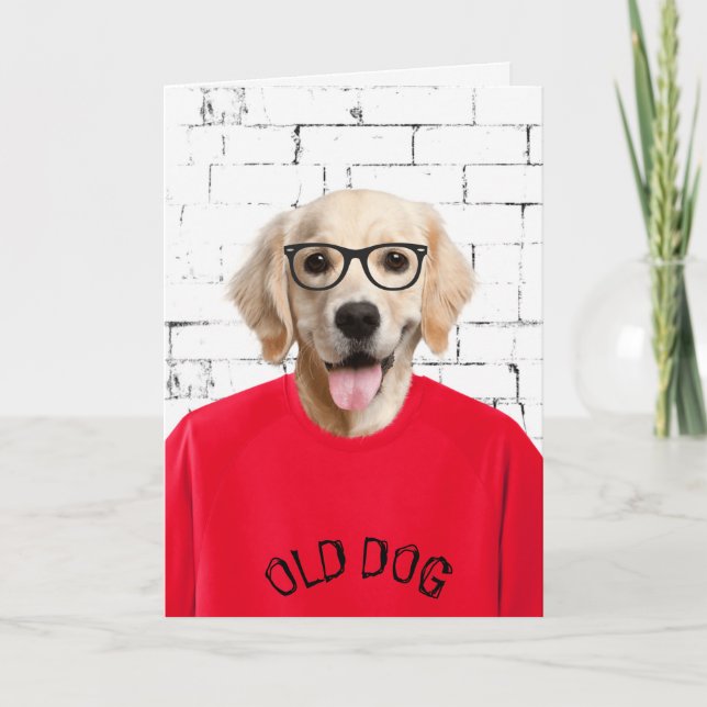 birthday golden retriever in red t-shirt card (Front)