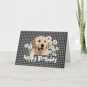 Birthday Golden Retriever on Gingham  Card