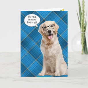 Birthday Golden Retriever On Plaid Card