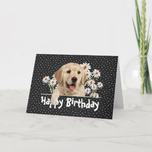 Birthday Golden Retriever on Polka Dots  Card