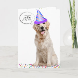 Birthday Golden Retriever on Stars Card