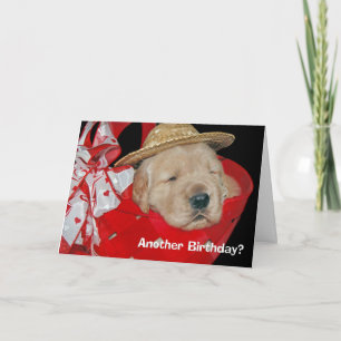 birthday golden retriever puppy card