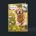 Birthday Golden Retriever Running Card<br><div class="desc">Happy golden retriever running in a field of wildflowers for birthday humour.
All text can be changed.</div>