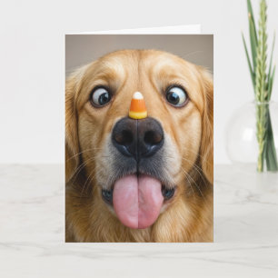 Birthday Golden Retriever With Candy Corn Card