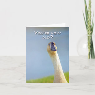Birthday Goose Card
