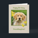 Birthday, Granddaughter, Golden Retriever Dog Card<br><div class="desc">Nothing says "love" more than the big brown eyes of a Golden Retriever pup.  Add a few yellow daffodils and you have a way to wish someone a happy birthday.  Feel free to change the inside verses to suit your needs.</div>