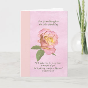 Birthday, Granddaughter, Peace Rose Card