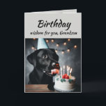 Birthday Grandson Fun Wisdom Lab Dog Card<br><div class="desc">Birthday wisdom for your Grandson from the cute Labrador Retriever Dog Pet Animal licking the cake.   Fun animal Birthday cards</div>