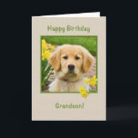 Birthday, Grandson, Golden Retriever Dog Card<br><div class="desc">Nothing says "love" more than the big brown eyes of a Golden Retriever pup.  Add a yellow daffodils and have a way to wish someone happy birthday.  Feel free to change the inside verses to suit your needs.</div>