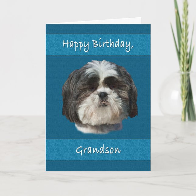 Birthday,  Grandson, Shih Tzu Dog Card (Front)