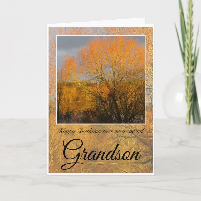 Birthday Grandson,  Sunkissed Winter Trees. Card (Front)