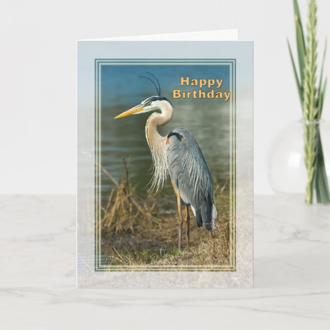 Birthday, Great Blue Heron Bird Card (Front)