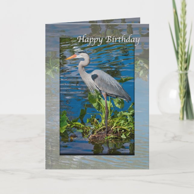 Birthday, Great Blue Heron in Lake Card (Front)