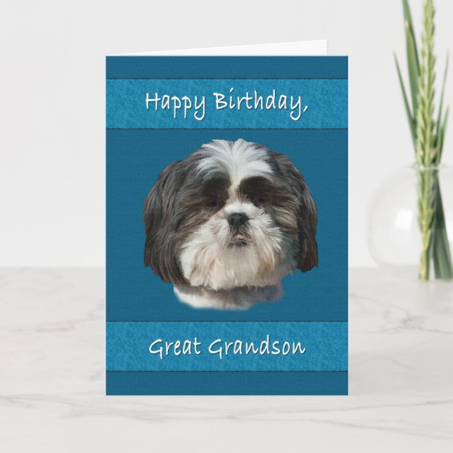 Birthday,  Great Grandson, Shih Tzu Dog Card (Front)
