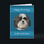 Birthday,  Great Grandson, Shih Tzu Dog Card<br><div class="desc">This little Shih Tzu dog with his cute cuddly face adds appeal that any pet lover will like.  It’s especially nice for a birthday greeting card.</div>