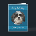 Birthday,  Great Grandson, Shih Tzu Dog Card<br><div class="desc">This little Shih Tzu dog with his cute cuddly face adds appeal that any pet lover will like.  It’s especially nice for a birthday greeting card.</div>
