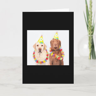 Birthday 🎂 greeting cards, for sale ! card