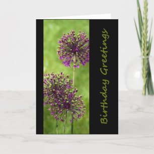 Birthday greetings card