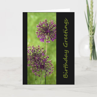 Birthday greetings card