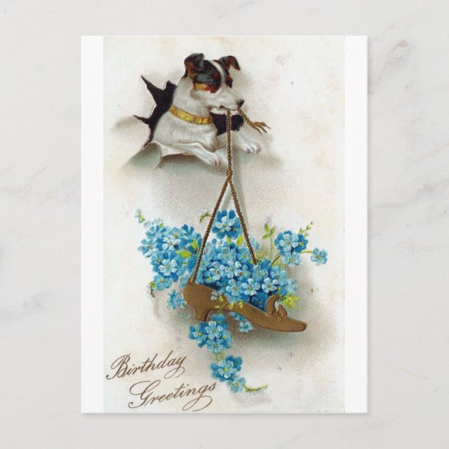 Birthday Greetings Cute Dog and Shoe Vintage Postcard (Front)
