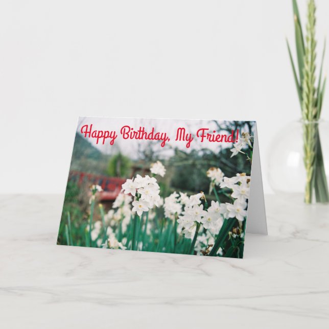 Birthday Greetings for Indispensable Friend Card (Front)