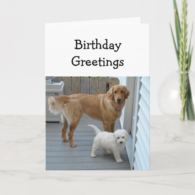 Birthday Greetings from Both of Us Pet Dog Humour Card (Front)