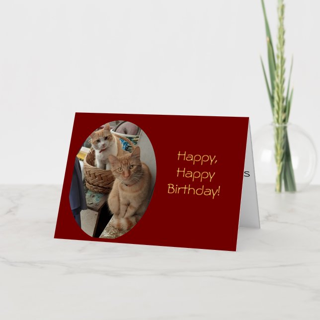 Birthday Greetings  Ginger Cats Foil Greeting Card (Front)